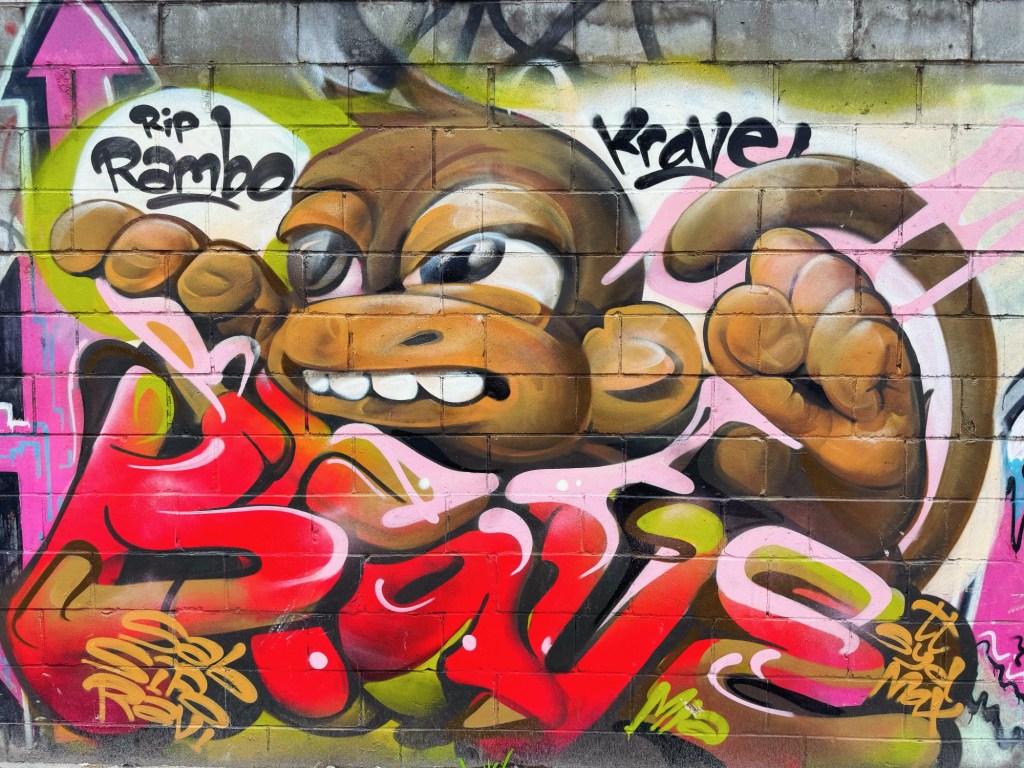 BROOKLYN (BUSHWICK,) NEW YORK STREET ART: PLAYFUL MONKEY by KRAVE ...